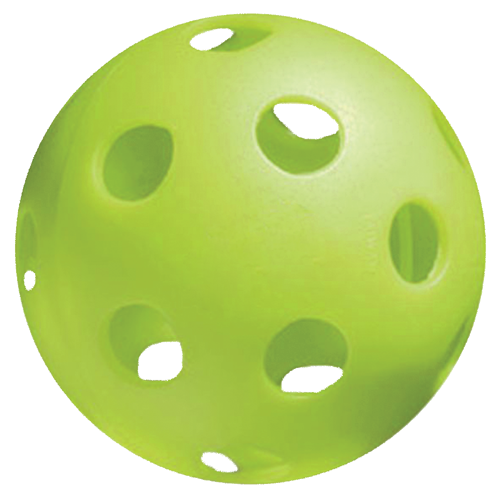 Pickleball Image
