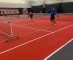 PICKLEBALL CLINIC    THE DINK / RESET    TUES FEB   28   11-12 PM